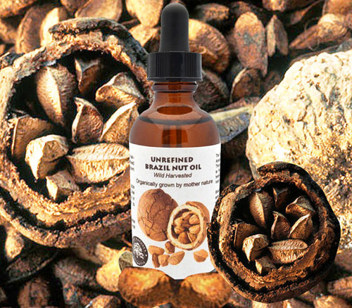Virgin Brazil Nut Oil (organic, undiluted, - Virello