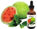 Guava Seed Oil (organic, cold pressed, unrefined) - Virello