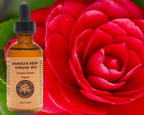 Camellia Seed Oil (Organic, Cold Pressed, unrefined)