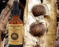 Moringa Seed Oil (organic, cold pressed, unrefined) - Virello