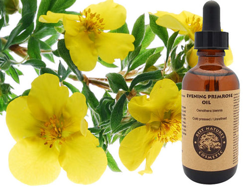 Evening Primrose Oil (Organic, cold pressed, unrefined) - Virello