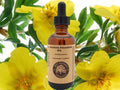 Evening Primrose Oil (Organic, cold pressed, unrefined) - Virello
