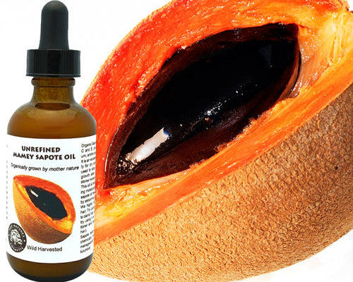 Mamey Sapote (Sapuyulo) Oil (organic, cold pressed, unrefined) - Virello